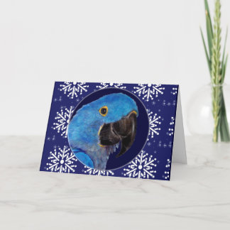 Karte - dekorativer Feiertags-HyazintheMacaw
