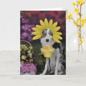 Karte der Border-Collie-Mutter Tages (Gelbe Blume)
