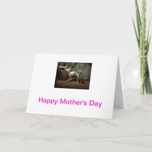 Karte der Chihuahua-Mutter Tages (Vorderseite)