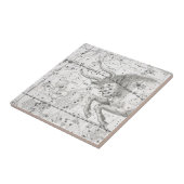 Karte der Konstellations-Platte XIV Fliese (Seite)