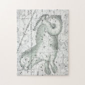 Karte der Konstellations-Platte XXIII Puzzle (Vertikal)