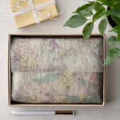 Karte der Osthemisphäre Seidenpapier (Geschenk)