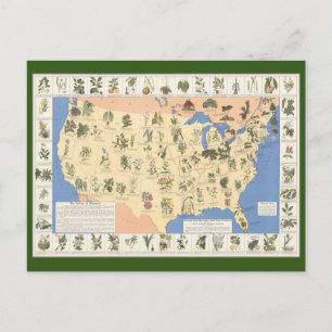 Karte der pflanzlichen Arzneimittel nach Karte