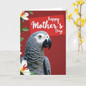 Karte der Roten Vogelmutter (Gelbe Blume)