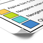 Karte der tektonischen Teller des Mittelmeers und  Poster (Ecke)