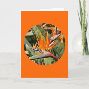Karte, "Der Vogel des Paradieses im Kreis" Karte