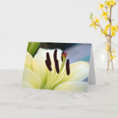 Karte der weißen Lilien-1 (Gelbe Blume)