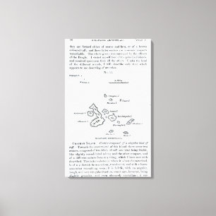 Karte des Galapagos-Archipels, 1844 Leinwanddruck