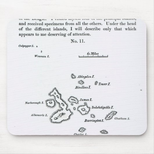 Karte des Galapagos-Archipels, 1844 Mousepad (Vorne)