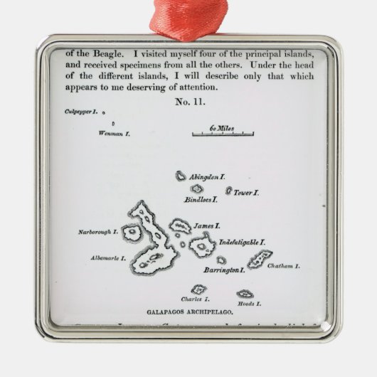 Karte des Galapagos-Archipels, 1844 Silbernes Ornament (Vorne)