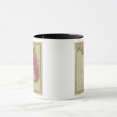 Karte des Gebiets Florida Tasse (Zentrum)
