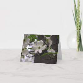 Karte des Hartriegels (Kornelkirsche Florida)