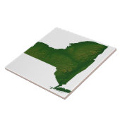 Karte des New Yorker Staat Fliese (Seite)