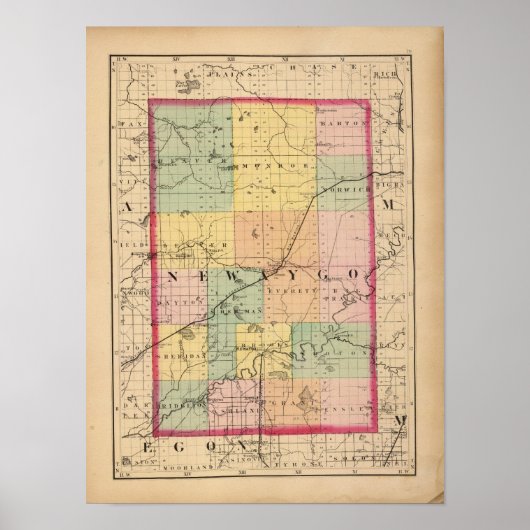 Karte des Newaygo-Landkreises, Michigan Poster (Vorne)