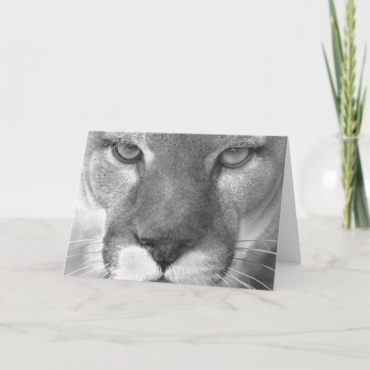 Karte des Pumas #1-Greeting (Vorderseite)