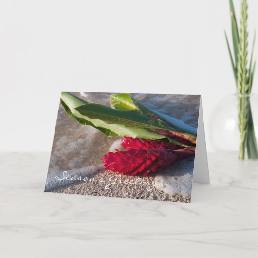 Karte des roten Ingwers (Vorderseite)