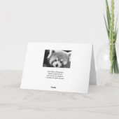 Karte des roten Pandas #1-Greeting (Rückseite)