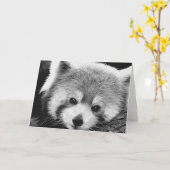 Karte des roten Pandas #1-Greeting (Gelbe Blume)