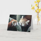 Karte des roten Pandas #2-Greeting (Gelbe Blume)