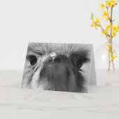 Karte des Straußes #1-Greeting (Gelbe Blume)