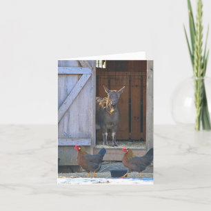 Karte des Ziegen- und Hühnerbetriebs