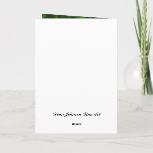 Karte - Feliz Cumpleaños, MI amor (Rückseite)