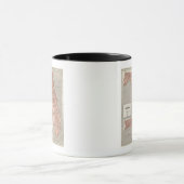 Karte Florida Atlas Tasse (Zentrum)