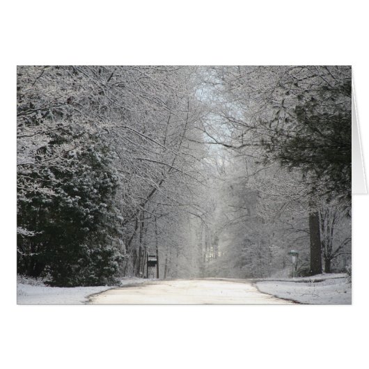 Karte, Fotografie der Snowy-Szene mit Straße, Bäum (Vorderseite (Horizontal))