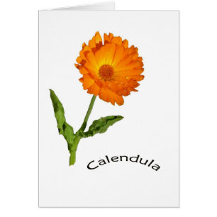 Karte - freier Raum - Calendula mit Aufkleber