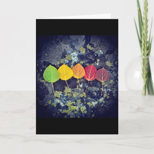 Karte für alle und zu jeder Jahreszeit (Vorderseite)