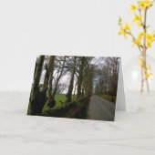 Karte für den Hinweis auf die Landstraße (Gelbe Blume)