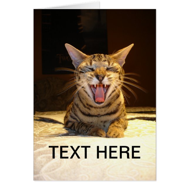 Karte für irgendeine Gelegenheit (Vorne)