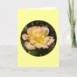 Karte, Gelb-Rosa erröten Rose" P-1 Karte