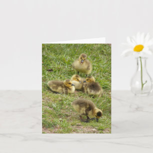 Karte - Goslings