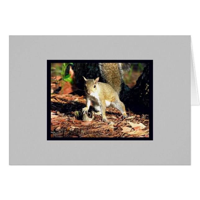 Karte - Got Nuts? (Vorderseite (Horizontal))