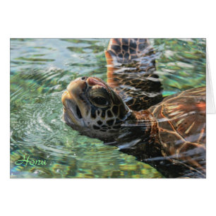 Karte: Green Sea Turtle
