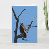 Karte - Gruß - Bird of Prey (Vorderseite)