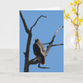 Karte - Gruß - Bird of Prey (Gelbe Blume)