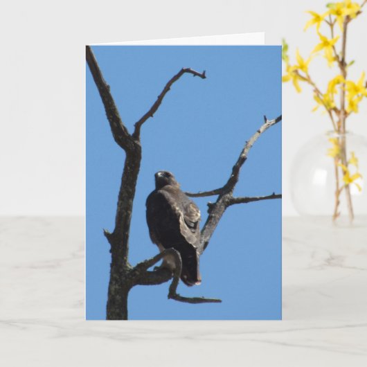 Karte - Gruß - Bird of Prey (Gelbe Blume)