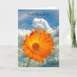 Karte - Gruß - Calendula auf Steppe