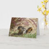 Karte - Gruß - Eichhörnchen im Schatten (Gelbe Blume)
