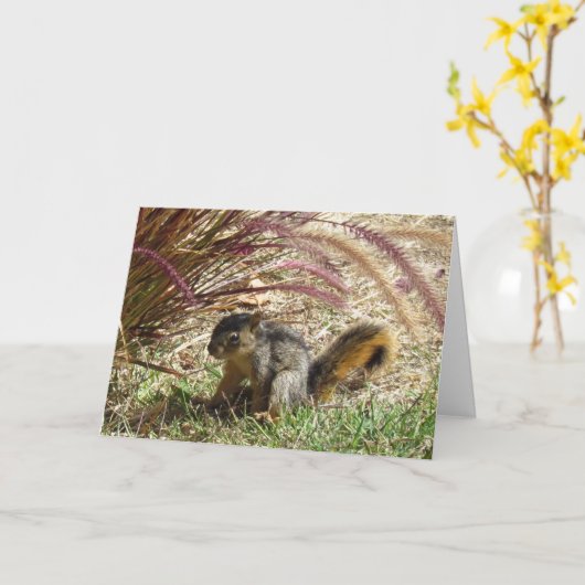 Karte - Gruß - Eichhörnchen im Schatten (Gelbe Blume)