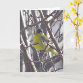 Karte - Gruß - Gelber Bird in Branchen (Gelbe Blume)