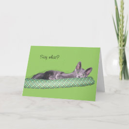 Karte - Gruß - Graues Kätzchen