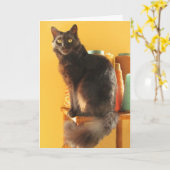 Karte - Gruß - Katze mit Garn (Gelbe Blume)