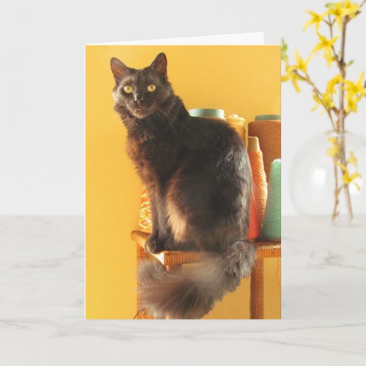 Karte - Gruß - Katze mit Garn (Gelbe Blume)