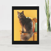 Karte - Gruß - Katze mit Garn (Vorderseite)