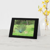 Karte - Gruß - Pfau 2 Seiten (Gelbe Blume)