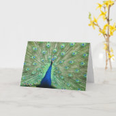 Karte - Gruß - Pfauen Schwanz Feathers (Gelbe Blume)