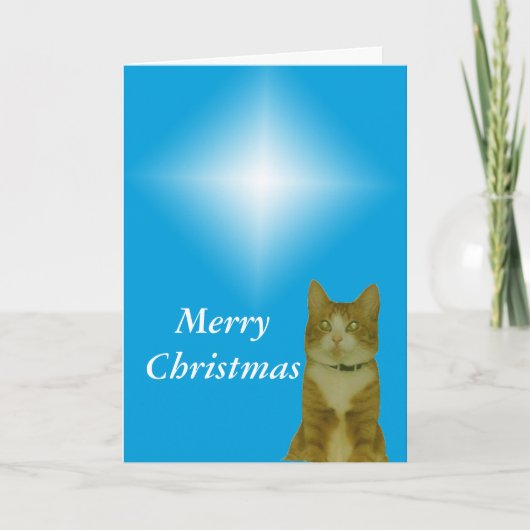 Karte - Gruß - Weihnachtsstar (Vorderseite)